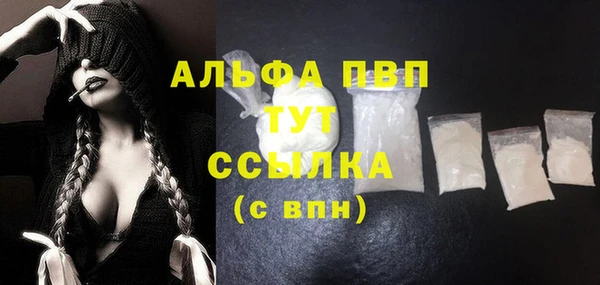индика Белоозёрский