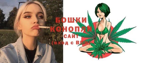 индика Белоозёрский