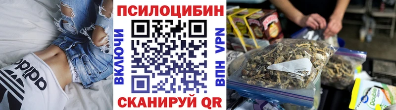 Галлюциногенные грибы MAGIC MUSHROOMS  где продают наркотики  Наволоки 